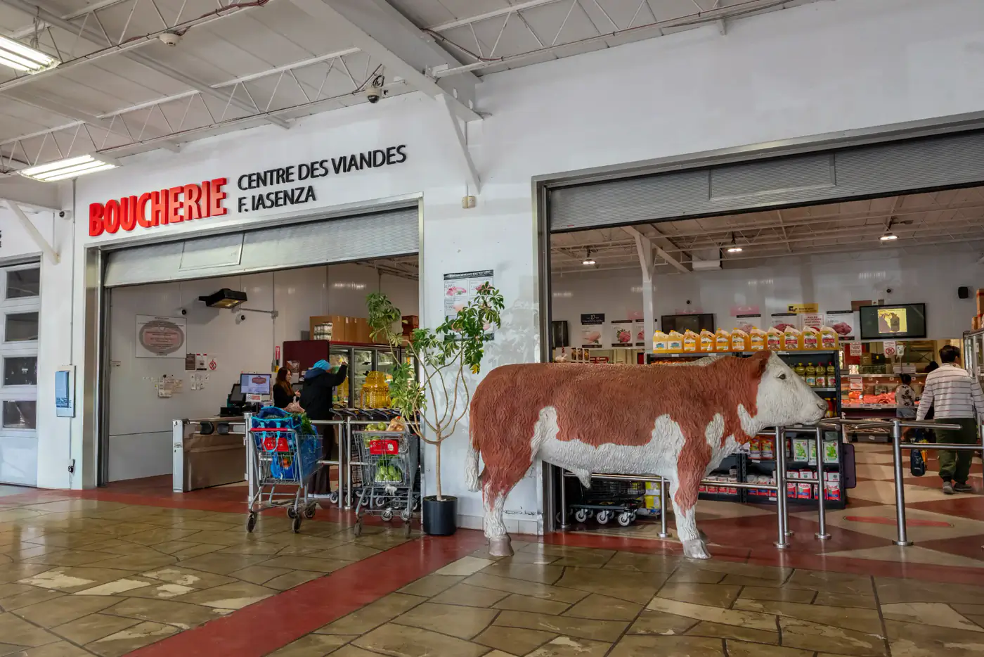 Entrance of the LaSalle store under the Boucherie Centre des Viandes F. Iasenza sign, with a cow statue